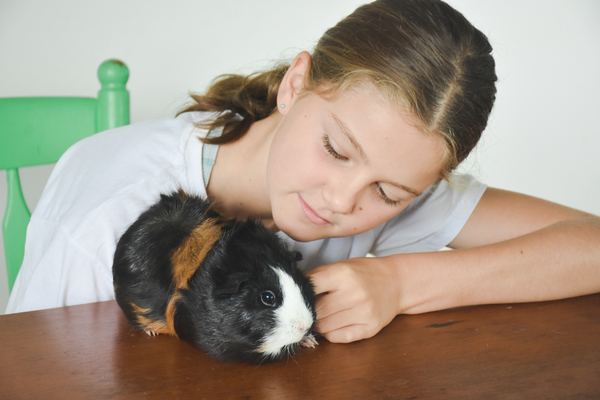 Help for School Anxiety Bli Bli, Sunshine Coast QLD Australia
