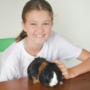 Calm Coach and Student Success Tutot Sushine Coast Qld Australia